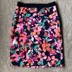 Ann Taylor Pencil Skirt